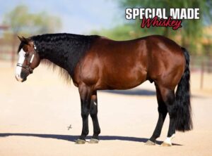 Special Made Whiskey