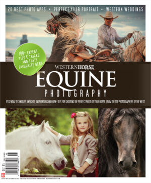 Equine Photography