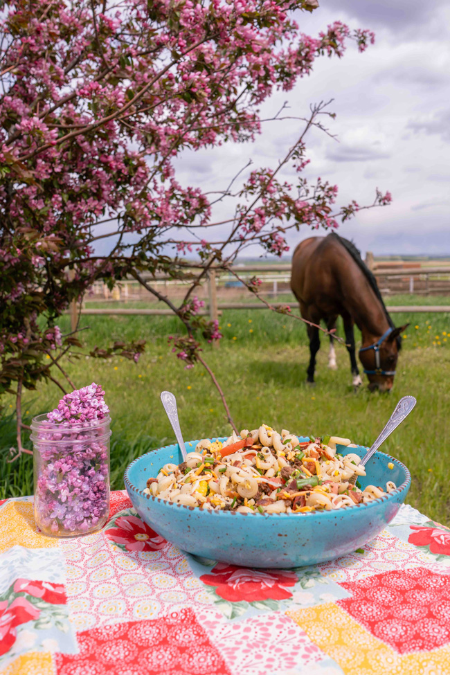 Cowboy Pasta Salad