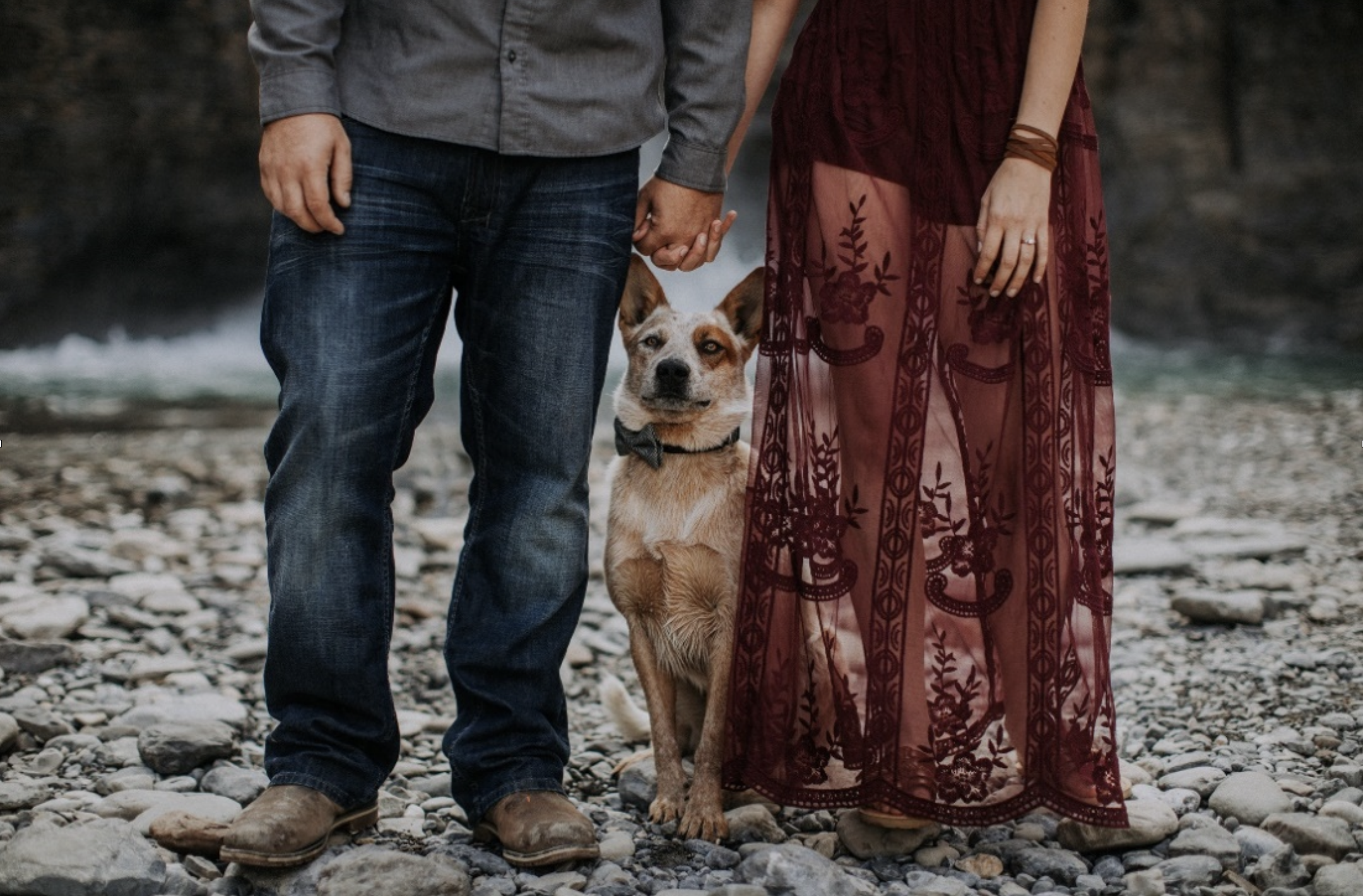 The Thing About a Great Dog 